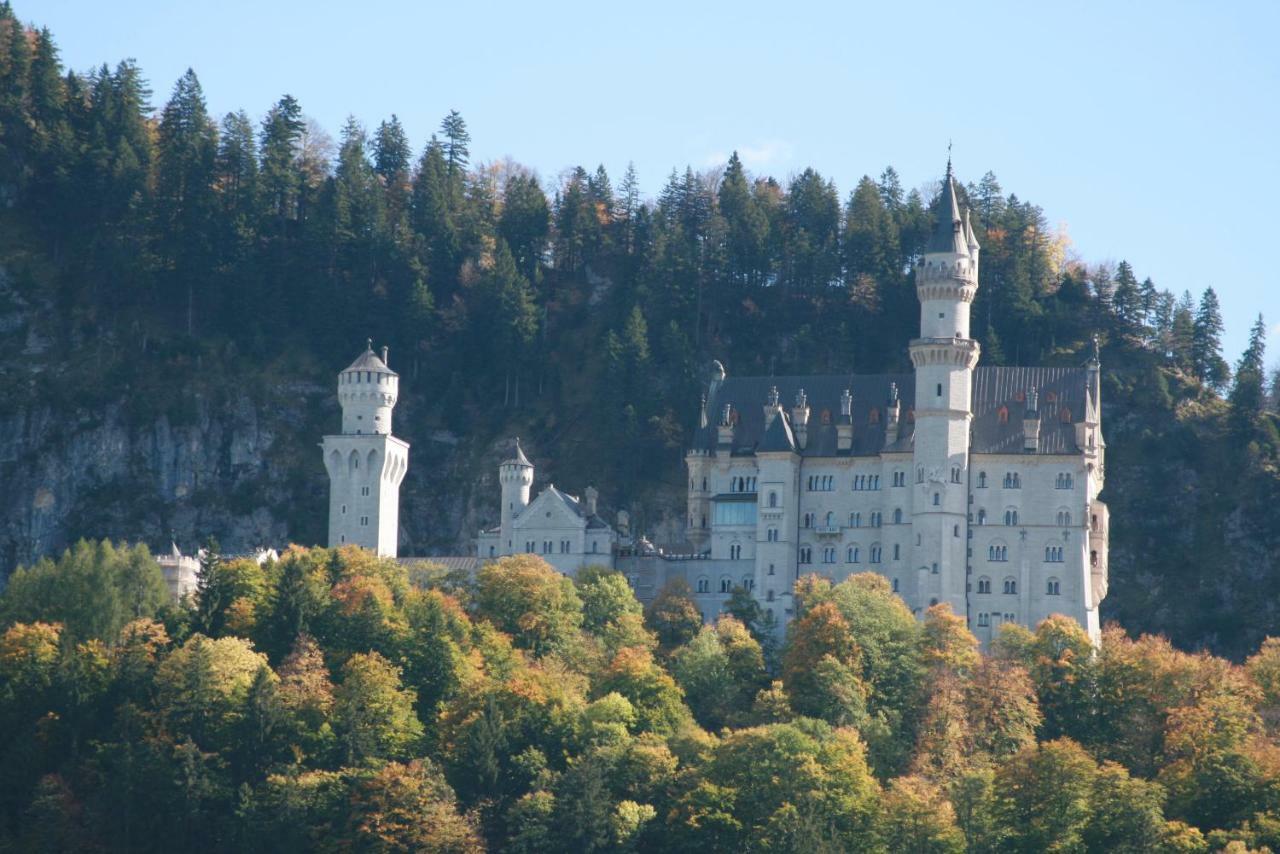 Farma Haflingerhof Appenstein Pinswang