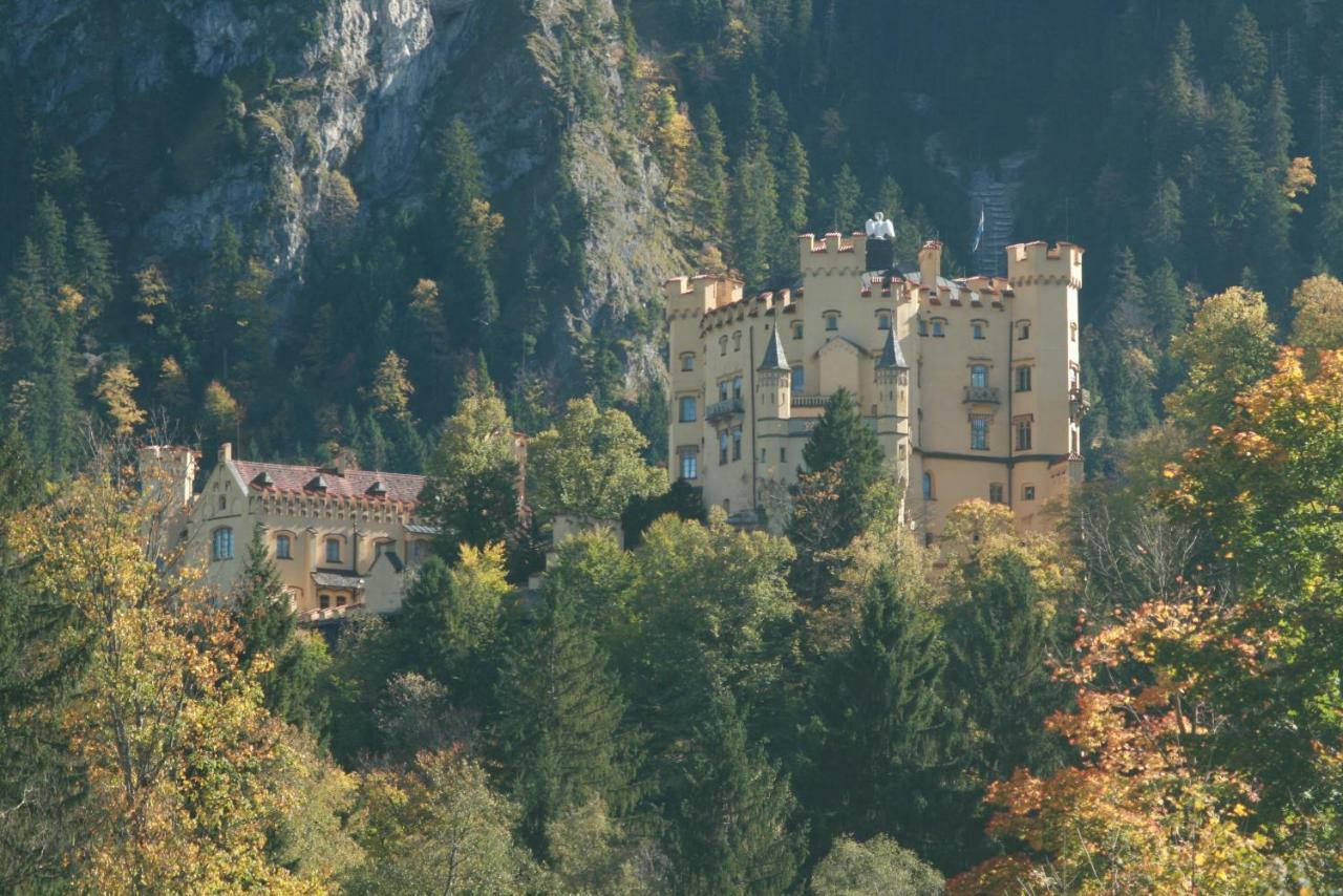 Haflingerhof Appenstein Farma Pinswang