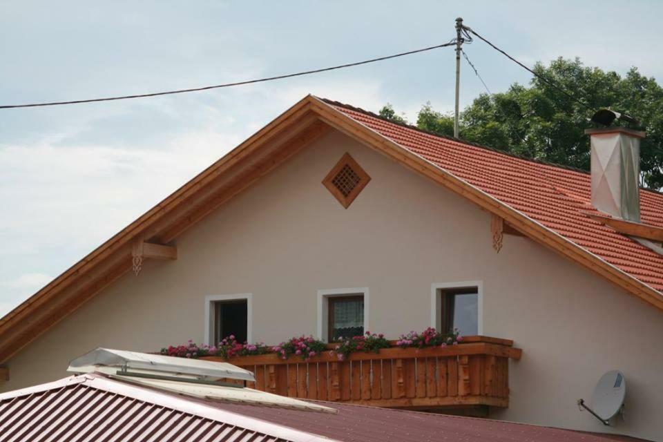 Farma Haflingerhof Appenstein Pinswang