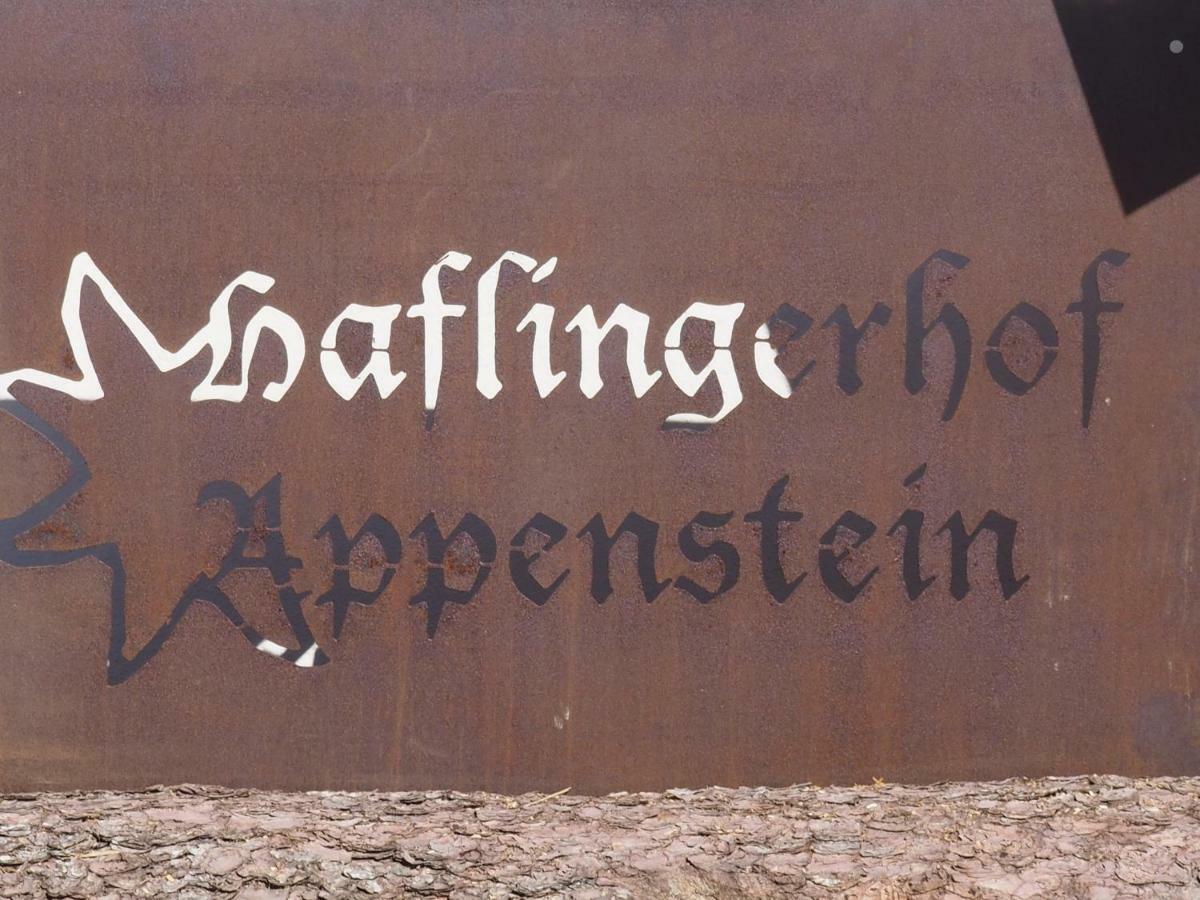 Haflingerhof Appenstein Farma *